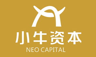 小牛資本管理集團 市場定位、營銷策略與行業競爭格局解析